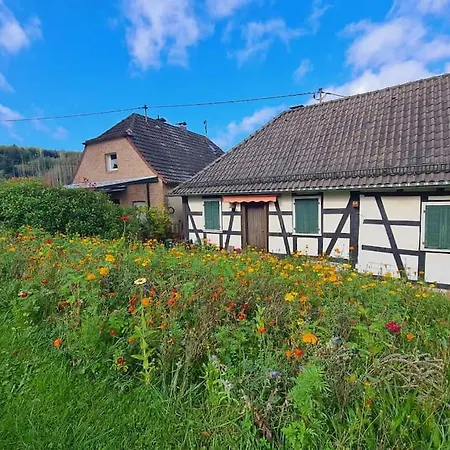 Besonderer Art Apartment Windeck