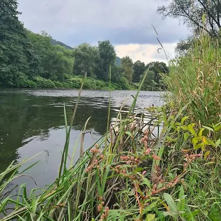 Besonderer Art Daire