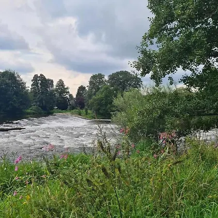 Daire Besonderer Art *