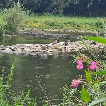 Besonderer Art شقة *