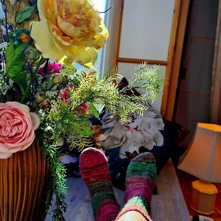 Besonderer Art Daire