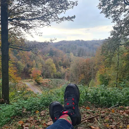 Besonderer Art Daire Windeck