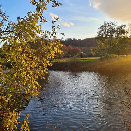 Besonderer Art Daire *