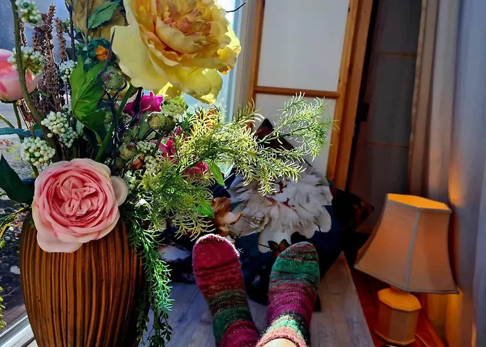 Besonderer Art Appartement