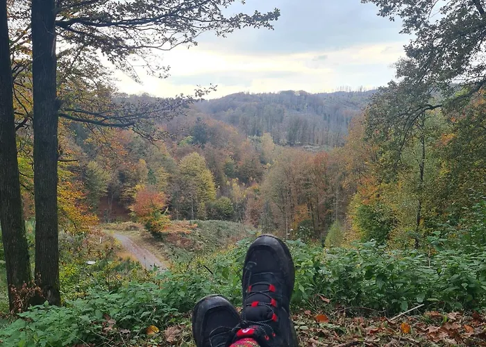 Besonderer Art Appartement Windeck